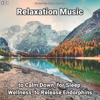 Yoga Music - Sleeping Music & Relaxing music & Yoga