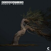 Rowan Breeze - Echomatics