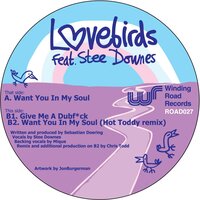Want You In My Soul - Lovebirds & Stee Downes