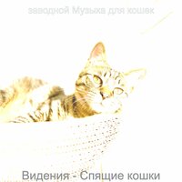 Созерцая (Кошки) - заводной Музыка для кошек