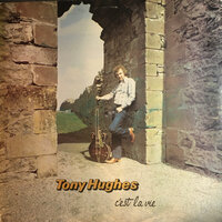 Love Or Something Like It - Tony Hughes