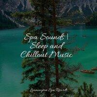Calm Music - Classical Study Music & Sonidos de lluvia para dormir & Best Relaxing Spa Music