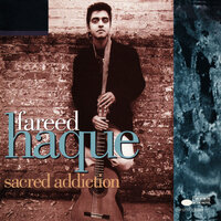 Another Day In Paradise - Fareed Haque
