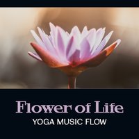 Human Potential - Yoga Healing Sounds Unit