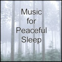 Music for Peaceful Sleep "Cave" - Sleep Music Laboratory