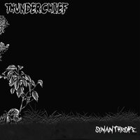 Junks - Thunderchief