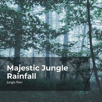 Woodland Mellow Rain - Deep Rain Sampling & Nature and Rain & Jungle Rain