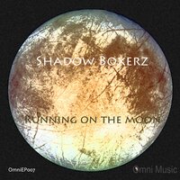 Wall Shaker - Shadow Boxerz