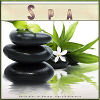 Deep Meditation Hang Drum Music - Spa Collective & Spa Meditation & Spa Music