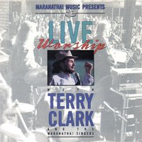 Nobody Like You - Terry Clark