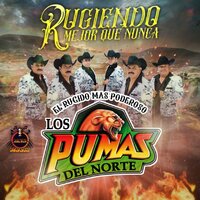 Sin Razón - Los Pumas del Norte