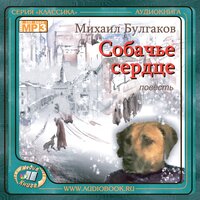 Михаил Булгаков. «Собачье сердце». Часть 9 - Валиев Герман