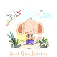 Flying High - Children Music Unlimited & Smart Baby Lullabies & Baby Music Center