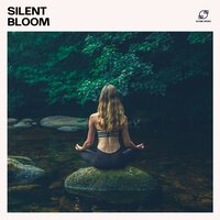 Softening Soul - Meditation & Asian Meditation Music Collective & Zen Meditation Garden & Meditation Club