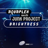 Brightness - Aquaplex & DJ Sakin & Friends