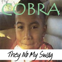 Medals Earned - Cobra