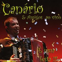 Vira de Nossa Senhora da Agonia - Augusto Canário & Amigos