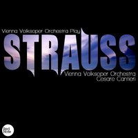 Wiener Blut (waltz), Op. 354: Waltz - Vienna Volksoper Orchestra & Иоганн Штраус-сын