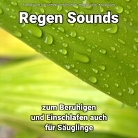Freiheit bei Regen - Regengeräusche zum Einschlafen und Durchschlafen & Regengeräusche & Naturgeräusche