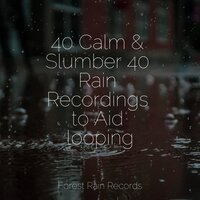 Rain Dripping from the Roof - Rain for Deep Sleep & Oasis of Meditation & Natural Rain Sounds for Sleeping