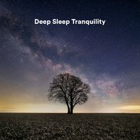 Deep Meditation Flute - Deep Sleep Music Experience & Tranquility Spree & Music for Sleeping Ensemble