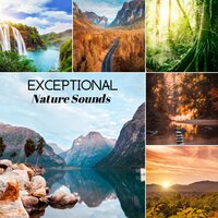 Sleep Remedies - Nature Sounds Paradise