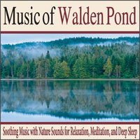 Loon Lullaby Inspired By Walden Pond - Robbins Island Music Group