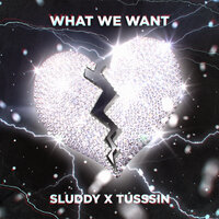 What We Want - G Rhodz & Sluddy JuGod & tússsin