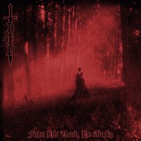 What Could Have Been - Born From Pain