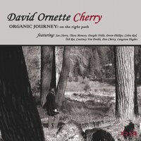 Tribute to Tarinith - David Ornette Cherry & Devin Phillips & Tah Rei