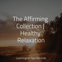 A Brief Connection - Rain Drops for Sleep & Sounds Of Nature: Thunderstorm & Study Music & Sounds