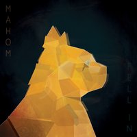 Chat sauvage - Mahom
