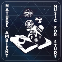 Healthy Mind - Nature Sounds Universe & Study Ambient Club