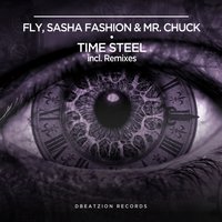 Time Steel - Fly