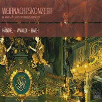 4. Brandenburgisches Konzert in G Major, BWV 1049: I. Allegro - Lukas Consort & Viktor Lukas & Johann Sebastian Bach