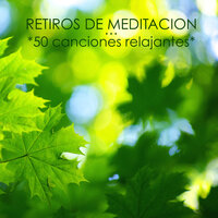 Dormir Bien - Musica para Meditar Especialistas