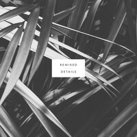 Tapes + Squids - Pablo Bolivar & Sensual Physics & Havantepe