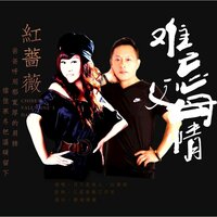 难忘父母情 - 月下思故人 & 红蔷薇
