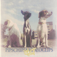 Bi li ili ne bi - Pipschips&Videoclips