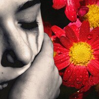 Wistful Thinking - Billy Novick & Paul Lenart