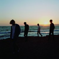 In The Tall Grass - The Charlatans