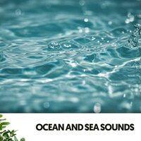 Zen Zone Melodies - Dog Relaxation & Ocean Sounds FX & Music for Working