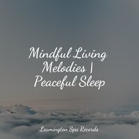 By the Campfire - Relaxamento & Meditation Awareness & Relaxed Minds