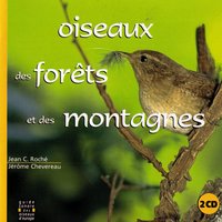 Geai Des Chênes - Jay & Geai Des Chênes