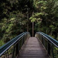 Unwind - Ambient Nature White Noise & Rain Man Sounds & Chillout Relaxation Dream Club