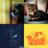 Entertaining (Kittens) - Music for Cats Society