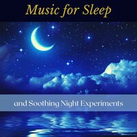 Ambient Sleep Music - Wellness Shades