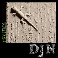Fake Mirror - DJN