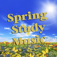 Eternal Peace - Classical Study Music