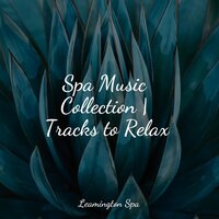 Trickling Water - Nature Soundscape & Classical Lullabies & Música de la Naturaleza
